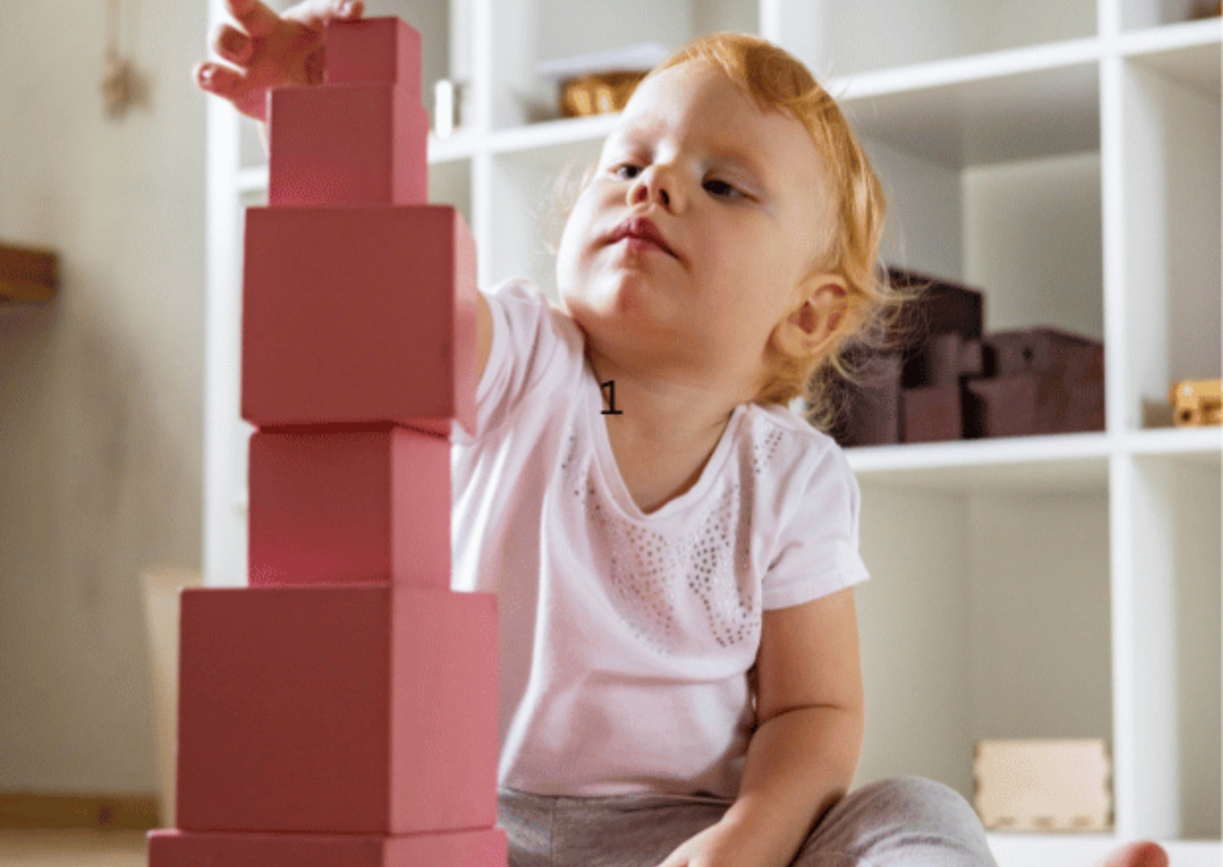 Authentic Montessori Materials